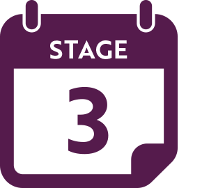 stage 3 icon